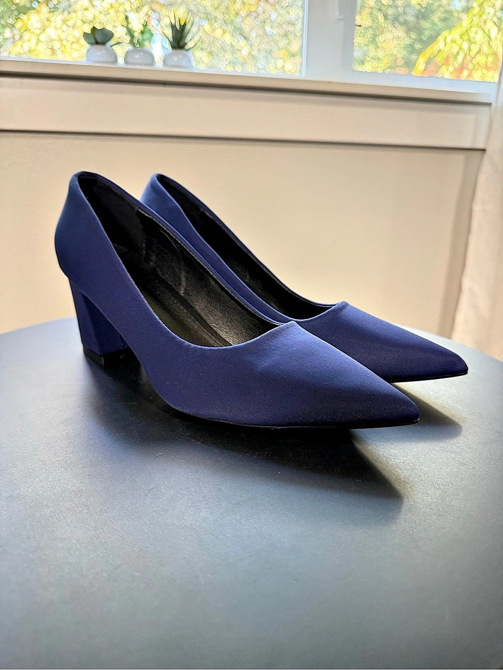 Pointed Toe Navy Heels